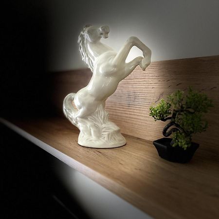 Centar 103 Apartment シベニク エクステリア 写真